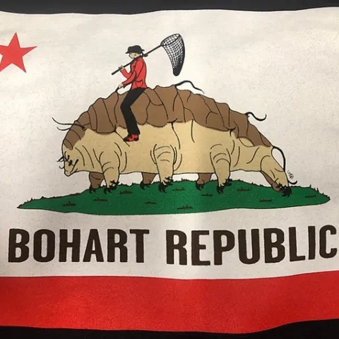 The Bohart Museum of Entomology Bear Flag features water bears. (Photo by Fran Keller)