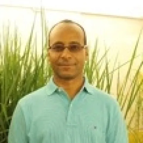 Ashraf El-Kereamy