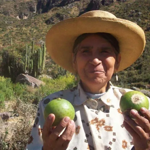 Sanky fruit