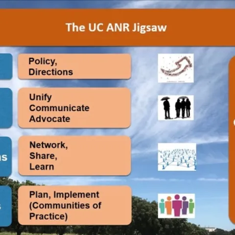 ANR jigsaw