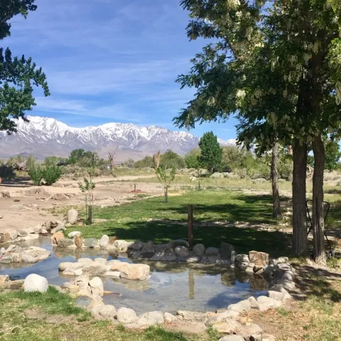 Arai Pond