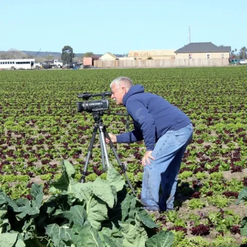 UC Cooperative Extension vegetable crops specialist Jeff Mitchell shoots video for the vegetable production series.