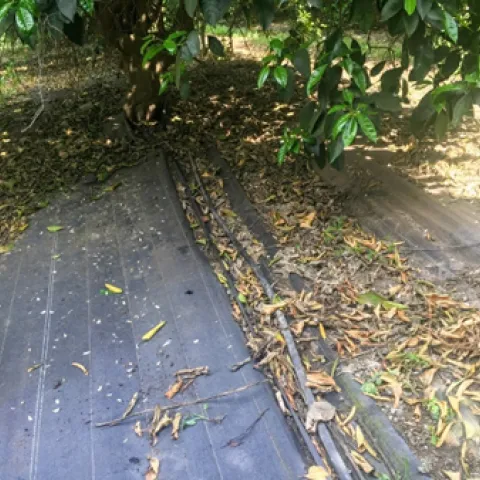 weed mat