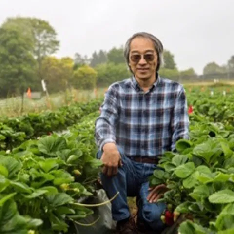 Joji Muramoto is the first UC Cooperative Extension specialist dedicated to organic agriculture. Photo by Carolyn Lagattuta