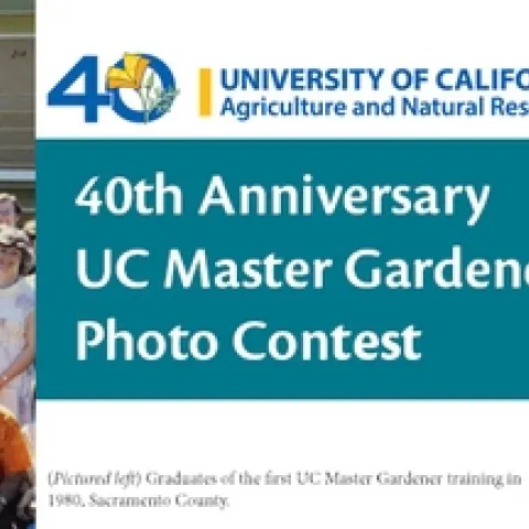 2019 Photo Contest