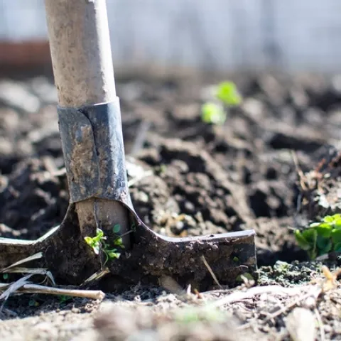 pexels-soil