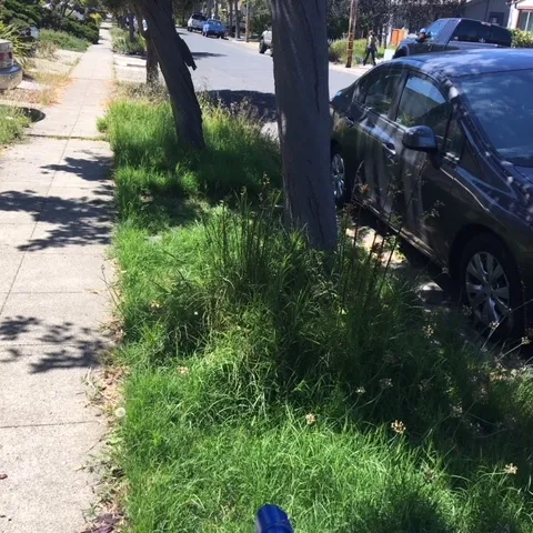 Parking Strip