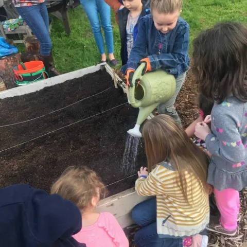 Artisan watering