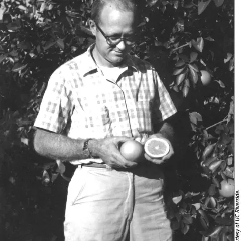 charlie coggins