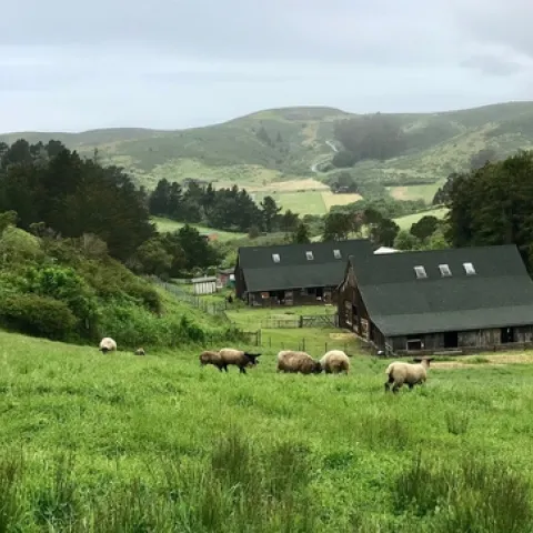 Elkus Ranch