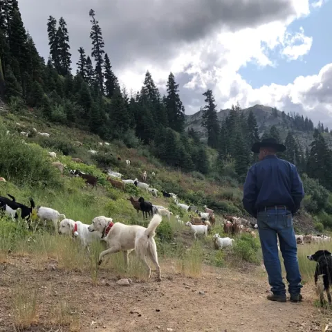 SQUAW LGD 2019 (4)