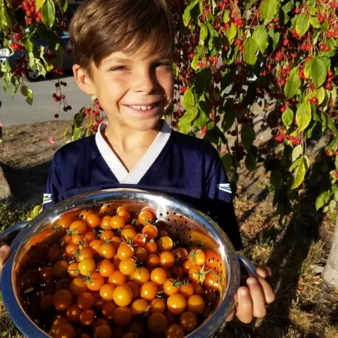 Super harvest