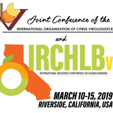 IRCHLB logo