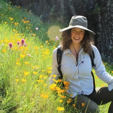 Maureen Page of the Neal Williams lab, UC Davis Department of Entomology and Nematology, will address the Davis Botanical Society meeting, “How I Spent My Field Season” on Thursday Nov. 14. The event takes place from 5 to 6 p.m. in Room 1022 of the Life Sciences Addition, corner of Hutchison and Kleiber Hall drives.