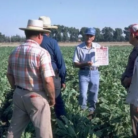 Worker training