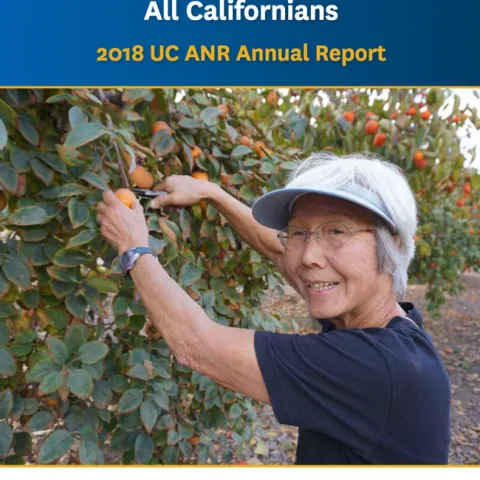 2018 annual report
