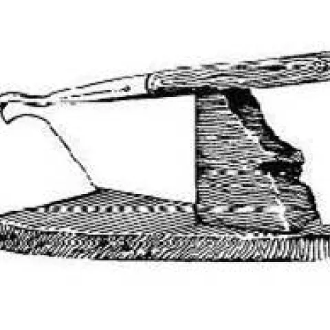 CWSS logo