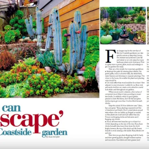 firescape-your-coastal-garden