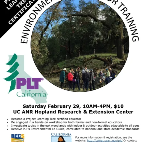 PLT Workshop flier