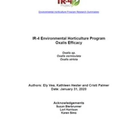 oxalis ir4 report
