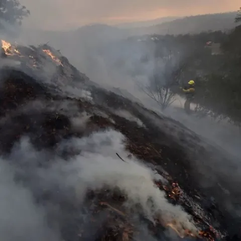 fire hillside