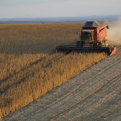 Reductions in nitrogen oxide emissions from coal-fired power plants have increased yields of soy and corn crops. (Photo: Pixabay)