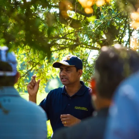The breadth and depth of agricultural knowledge created by UC Agriculture and Natural Resources is unparalleled, wrote Taylor Roschen. (Photo: Michael Rosenblum)