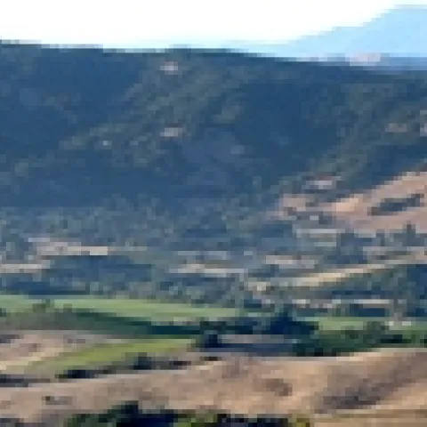 SLO image