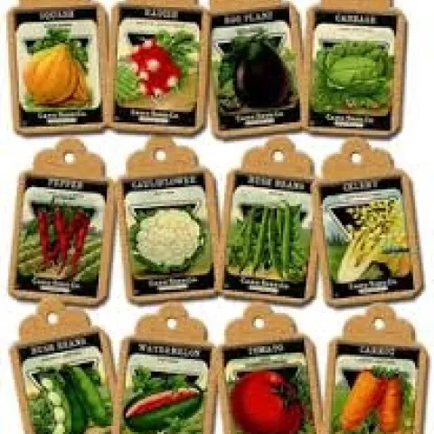 Seed packages, select your favorites. (Clker)