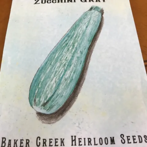 mexican squash