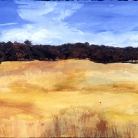 oak landscape