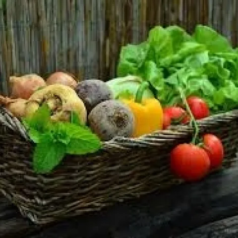 pixabay garden veggie basket