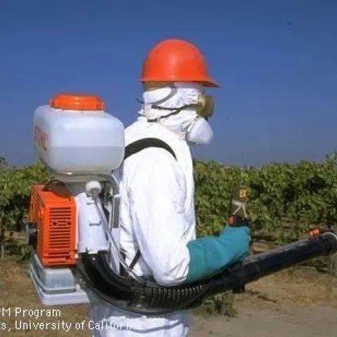 People who work on farms wear personal protective equipment to protect themselves from COVID-19, pesticides, dust and other health hazards. People who work on farms wear personal protective equipment to protect themselves from COVID-19, pesticides, dust and other health hazards.