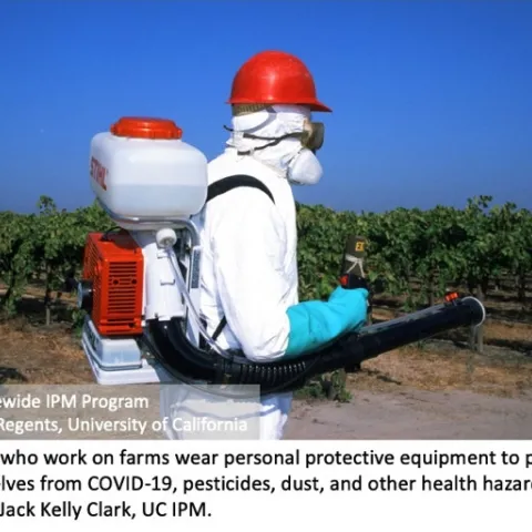 wear ppe