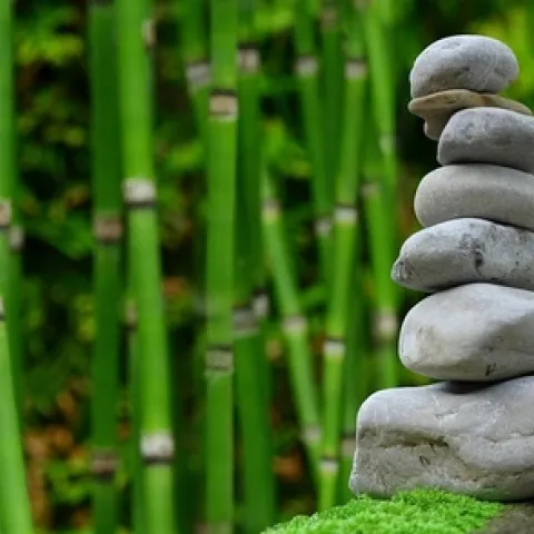 Learning about gardening may help make your life feel more balanced.(Pixabay)
