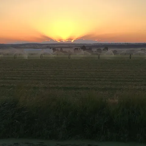Tulelake sun