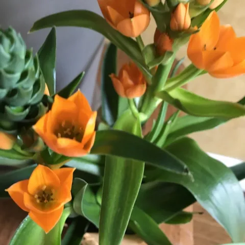 a welcome surprise