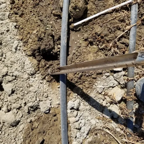soil core