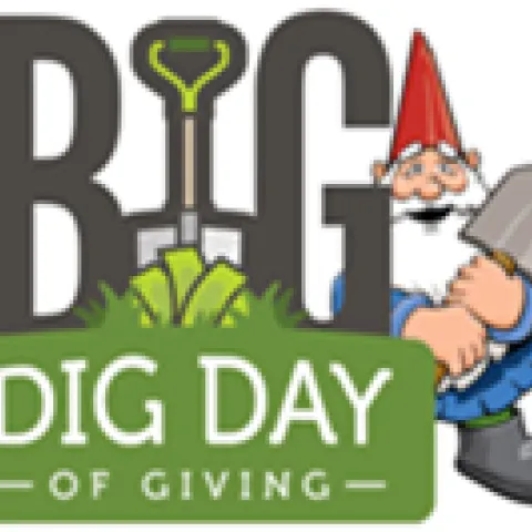 BigDig