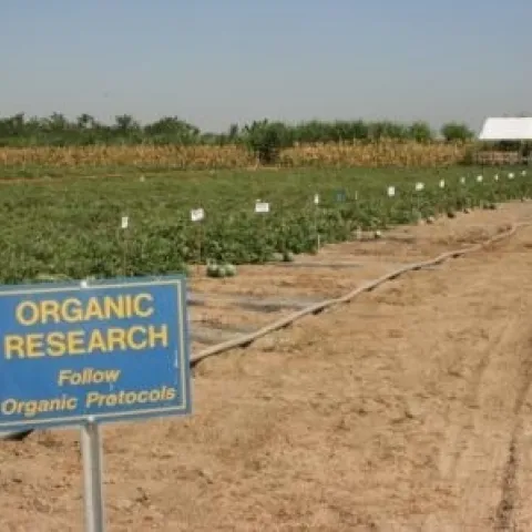 A needs assessment for organic agriculture research and extension is underway.