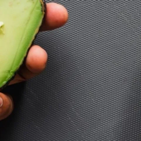 avocado in the hand