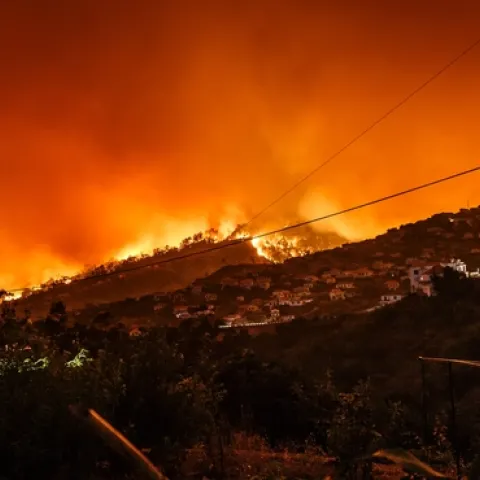 Wildfire advancing down a hillside