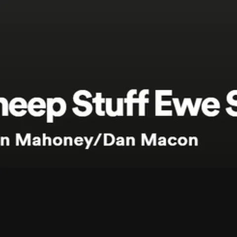 podcast title