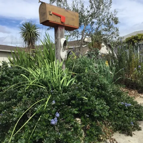 mailbox