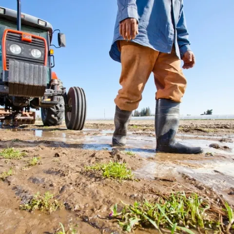 SGMA Farmworkers
