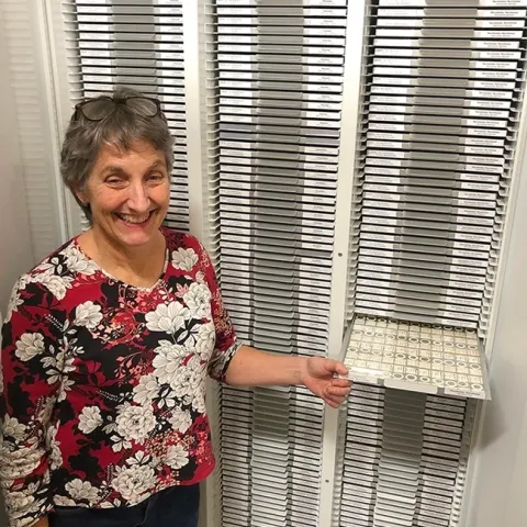 Lynn Kimsey, director of the Bohart Museum of Entomology, with some of the museum's tardigrade collection. (Photo by Kathy Keatley Garvey)