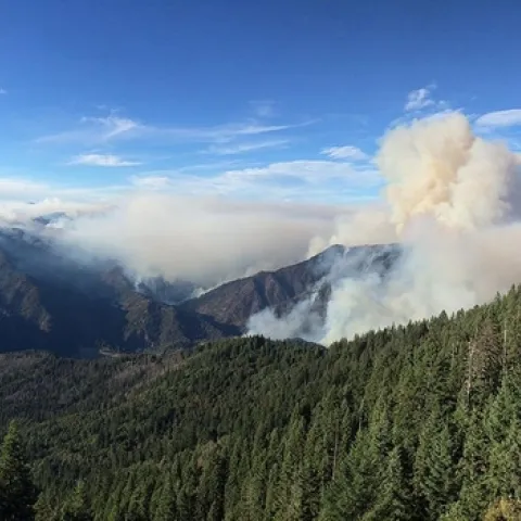 wildfire