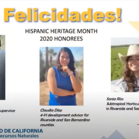 Meet HHM honorees
