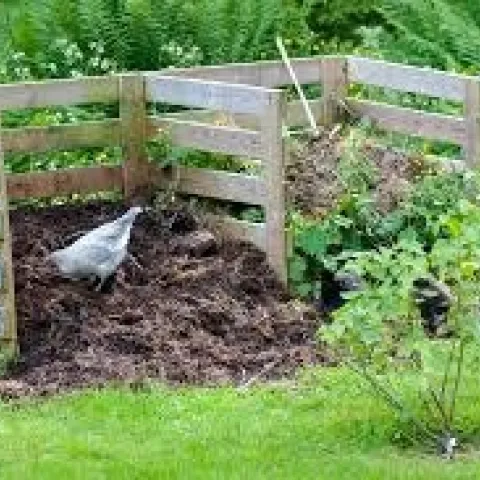 HD Compost01