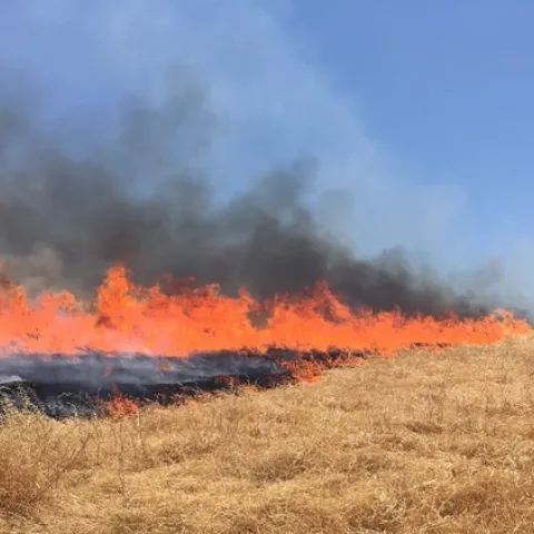 sfrec fire (3)